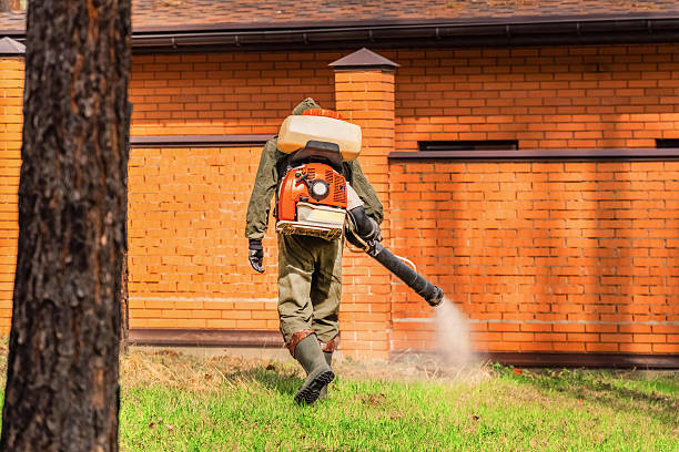 Trusted Termite Control service in Cedarhurst, NY - Nex Pest Control